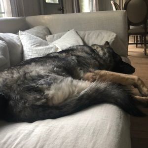 Meet your Posher, Suzanne